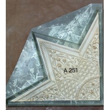 A251