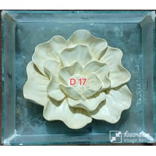 D17