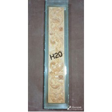 H20