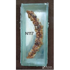 N117