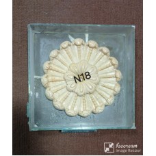 N18