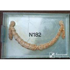 N182