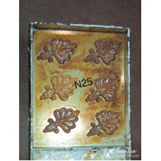 N25