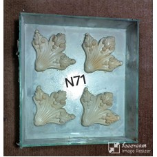 N71