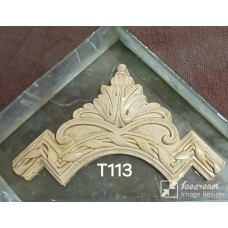 T113