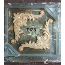T123