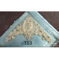 T53