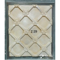 Z29
