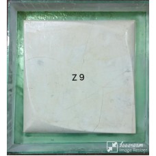 Z9
