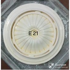 E21