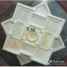E66