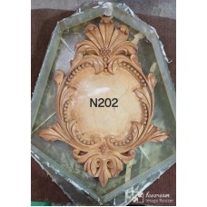 N202