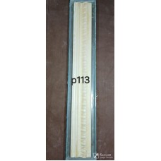 P113